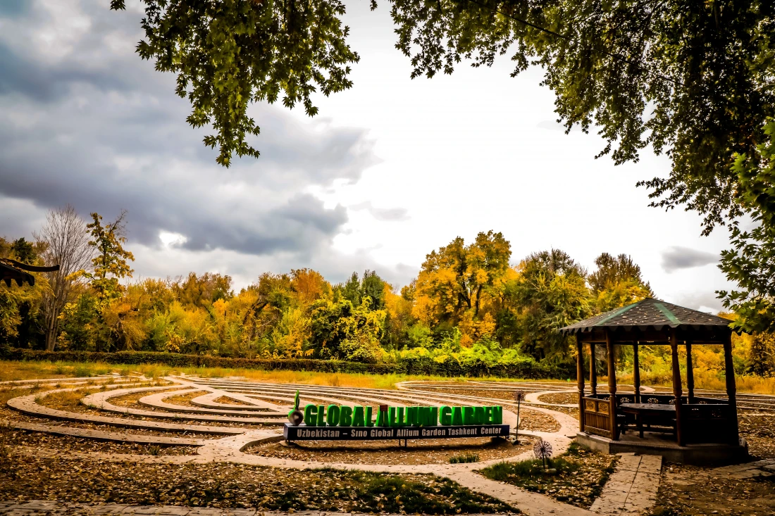 Yotoqxonadan kelgan qizlar Zemfira porno filmda